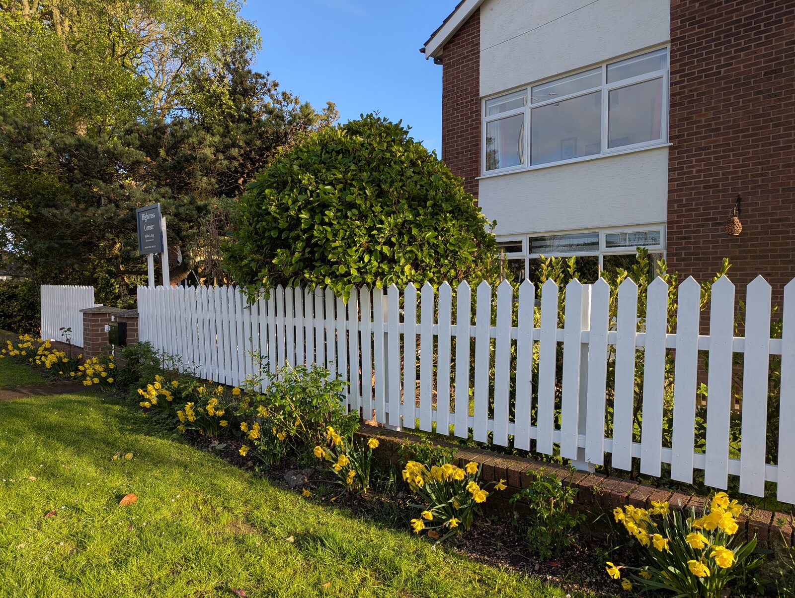 Front with daffodils