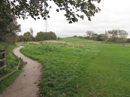A winding path through Wyre Estuary Country Park, with green fields and trees