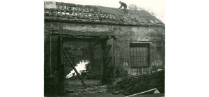 The tithebarn in Poulton being demolished. A man on the roof removing tiles. A fire can be seen through the open double barn doors, inside the building.